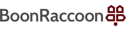BoonRaccoon Consulting BoonRaccoon Consulting